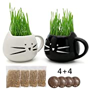 Teagas grass kit