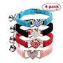 Cat collars