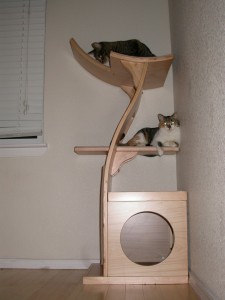 Cat Perch Cat Perch